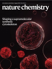 Nitrogen期刊